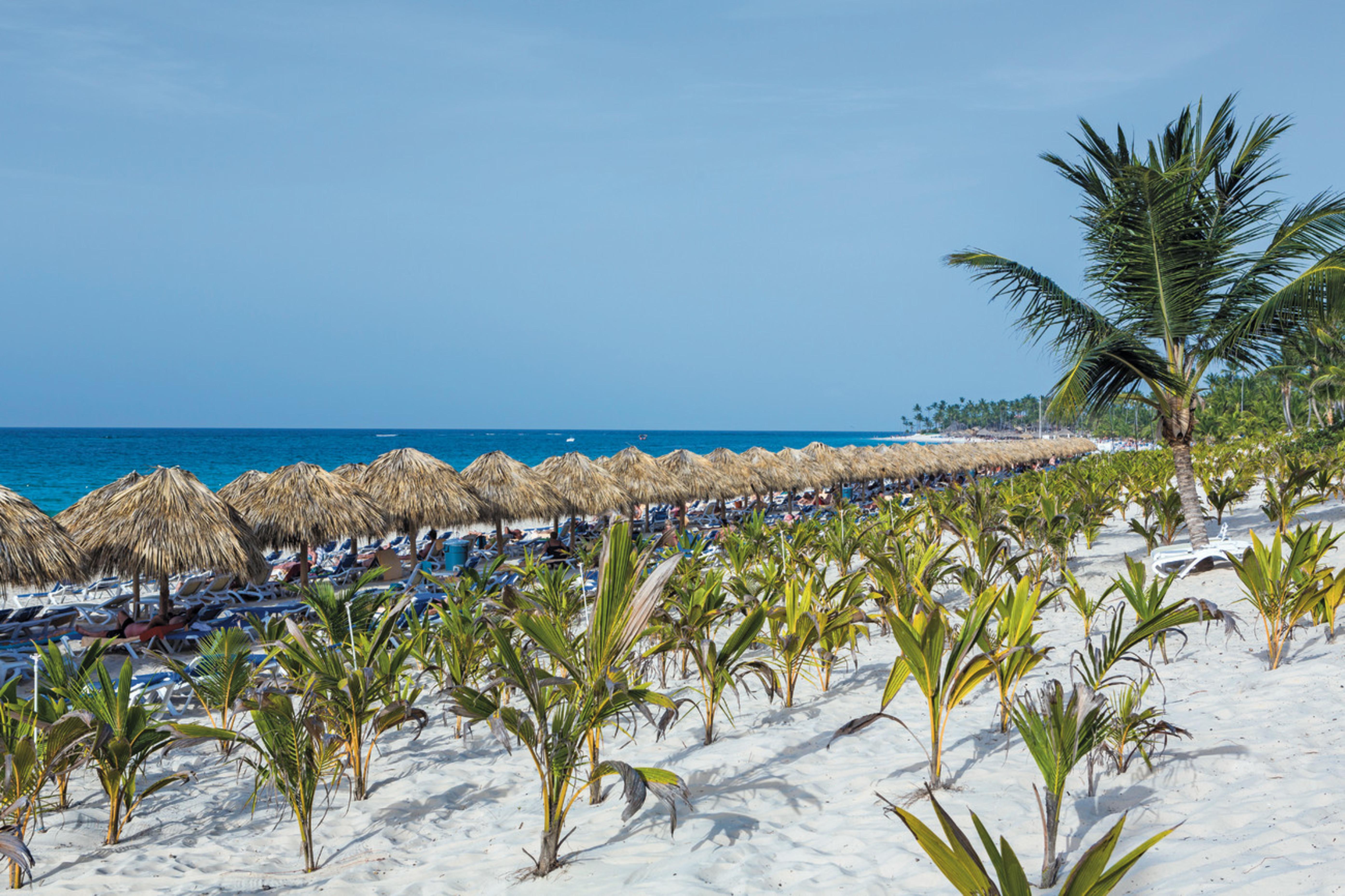 Riu Republica (Adults Only) Hotel Punta Cana Exterior photo